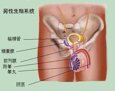 汕头精囊炎医院--选专业汕头龙湖